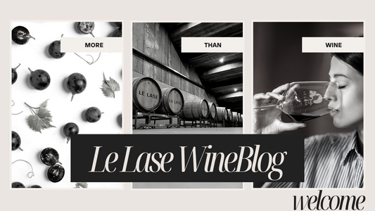 Benvenuto nel nostro WineBlog